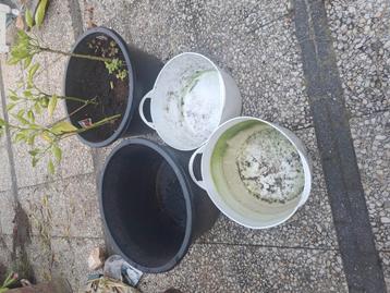 2 zwarte specie kuipen en 2 witte plastic potten t.e.ab beschikbaar voor biedingen