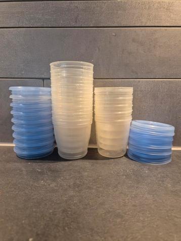 Philips Avent Voedselcontainers - 14 stuks beschikbaar voor biedingen