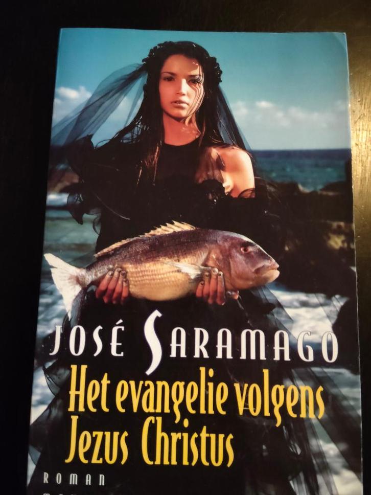 Het evangelie volgens Jezus Christus, Boeken, Literatuur, Gelezen, Europa overig, Ophalen of Verzenden