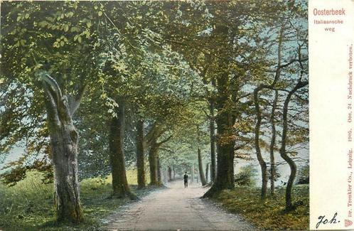 (387-256-029) Oosterbeek Italiaansche weg, Verzamelen, Ansichtkaarten | Nederland, Gelderland, Verzenden
