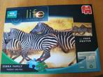 Zebra puzzel met poster 1000 stukjes, Hobby en Vrije tijd, Denksport en Puzzels, Ophalen of Verzenden, 500 t/m 1500 stukjes, Zo goed als nieuw
