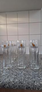 12 bierglazen 25cl van het merk Swinckels., Ophalen, Zo goed als nieuw
