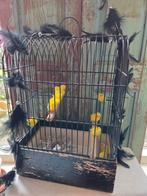 Leuk oud vogelkooitje voor decoratie ., Ophalen of Verzenden