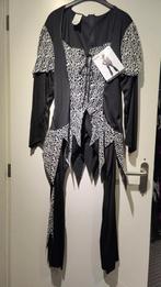 Nieuw Heksenkostuum - Maat 34 t/m 48, Kleding | Dames, Carnavalskleding en Feestkleding, Wilbers, Maat 46/48 (XL) of groter, Nieuw