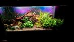 Aquarium 270L Inclusief onderstel en vissen, Ophalen of Verzenden, Gevuld zoetwateraquarium