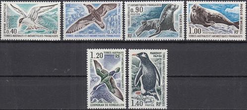 Frans Antarctica (TAAF)- 1976 - Fauna - Dieren - Vogels, Postzegels en Munten, Postzegels | Oceanië, Postfris, Verzenden