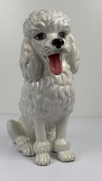 Vintage Italiaans keramiek poedel beeld wit, Ophalen, Zo goed als nieuw, Dier