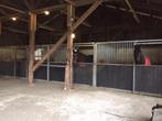 Stalling en weidegang aangeboden, Dieren en Toebehoren, Stalling en Weidegang, Weidegang, 1 paard of pony