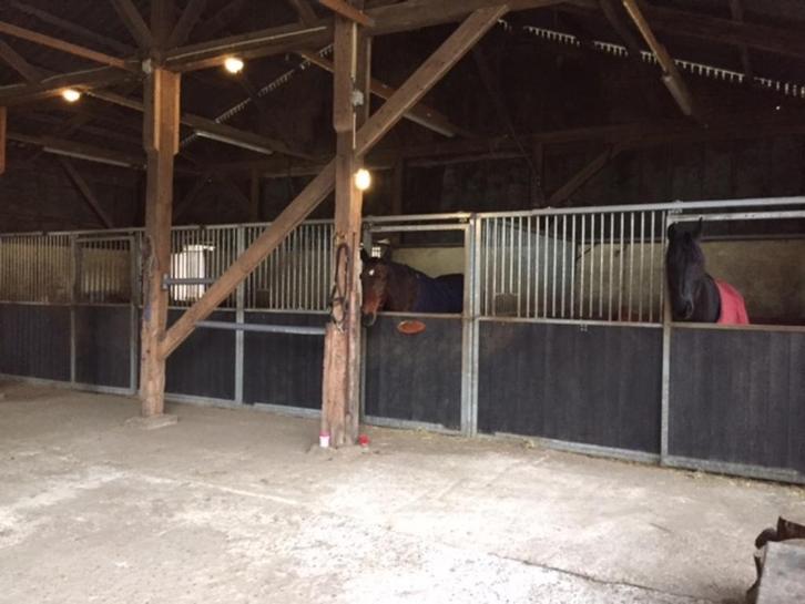 Stalling en weidegang aangeboden, Dieren en Toebehoren, Stalling en Weidegang, Stalling, Weidegang, 1 paard of pony