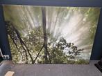 Wandposter Natuur - 140x200cm, Huis en Inrichting, Woonaccessoires | Schilderijen, Tekeningen en Foto's, Ophalen, 125 cm of meer