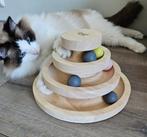 Ragdoll te koop, Dieren en Toebehoren, Katten en Kittens | Raskatten | Langhaar, Kater, Gechipt, 3 tot 5 jaar