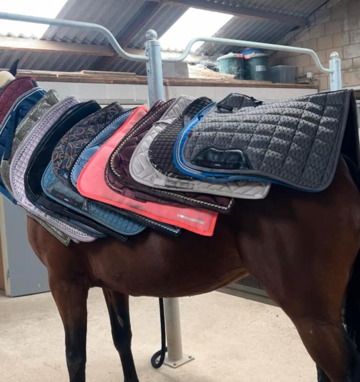 Veel paardenspullen te ruil!, Dieren en Toebehoren, Paarden en Pony's | Dekens en Dekjes, Zo goed als nieuw, Ophalen of Verzenden