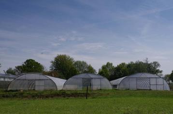 Foliekas/tunnel te koop beschikbaar voor biedingen