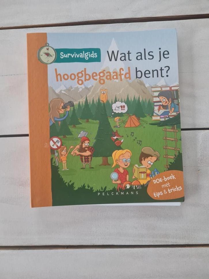 Survivalgids: Wat als je hoogbegaafd bent?, Boeken, Advies, Hulp en Training, Zo goed als nieuw, Ophalen of Verzenden