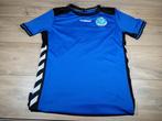De Graafschap gesigneerd shirt, Gebruikt, Hummel, Ophalen of Verzenden, Hummel