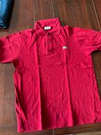 Lacoste polo maat S, Ophalen of Verzenden, Zo goed als nieuw