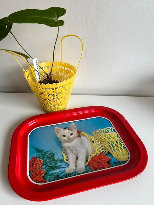 Vintage Blikken Rood Dienblad Poes Kitten~Rode Anjers 50’s, Verzamelen, Retro, Huis en Inrichting, Ophalen of Verzenden