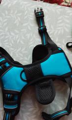 Hondetuigje met Riem S, Dieren en Toebehoren, Ophalen of Verzenden, Nieuw