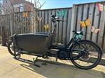 Urban Arrow Family Cargo discbrake 500Wh zwart, Overige merken, Elektrisch, Gebruikt, Ophalen