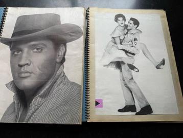ELVIS beschikbaar voor biedingen