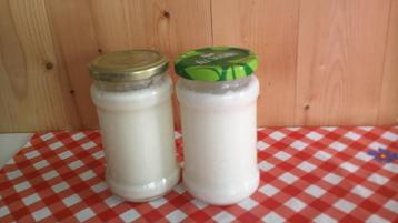biologische melk kefir korrels