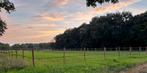 Doe het zelf paarden locatie aangeboden! (GEEN pension), Dieren en Toebehoren, Stalling en Weidegang, Weidegang, 4 paarden of pony's of meer