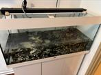 Juwel aquarium 100/50/40 word schoon geleverd, Dieren en Toebehoren, Vissen | Aquaria en Toebehoren, Ophalen, Zo goed als nieuw