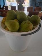 Appels en peren, Ophalen
