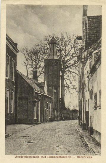 Academiestraatje met Linnaeustorentje - Harderwijk - gelopen beschikbaar voor biedingen