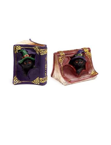 Heksen Zwarte Kat Mischievous Spell Book, halloween, hobby beschikbaar voor biedingen