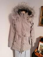 Hollister prachtige jas small, Kleding | Dames, Jassen | Winter, Verzenden, Zo goed als nieuw, Maat 36 (S), Blauw