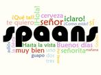Wie zou ons gezin een cursus Spaans willen leren?, Hobby en Vrije tijd, Cursusmateriaal, Ophalen of Verzenden