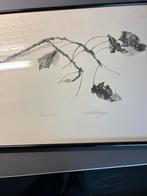 Litho Paula Otten-Leclercq - Bladmotief, Antiek en Kunst, Kunst | Litho's en Zeefdrukken, Ophalen of Verzenden