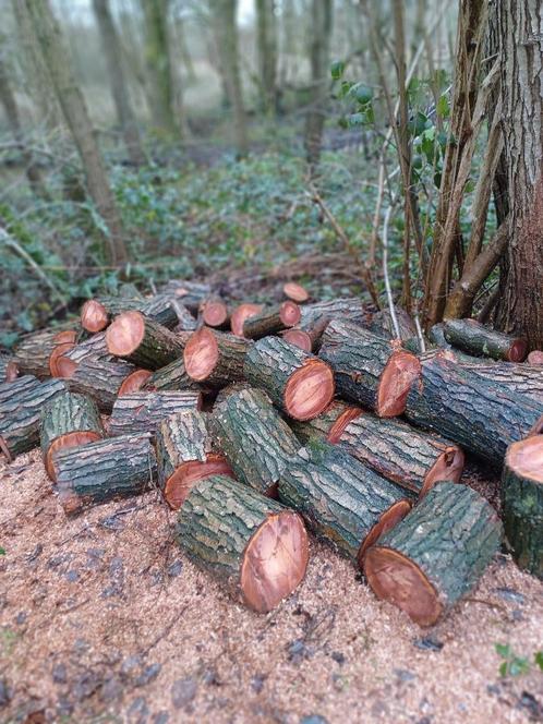 Elzen openhaardhout kan bezorgd worden., Tuin en Terras, Haardhout, Blokken, Elzenhout, 6 m³ of meer, Ophalen