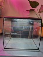 Fluval flex 34L aquarium, Ophalen, Zo goed als nieuw, Leeg aquarium