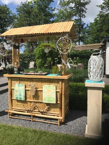 Ibiza party, decoratie, ibiza bar, ibiza vibes, te huur beschikbaar voor biedingen