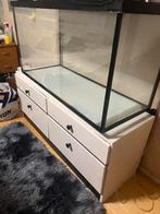 Aquarium, Ophalen of Verzenden, Zo goed als nieuw, Gevuld zoetwateraquarium