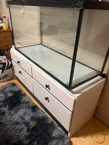 Aquarium beschikbaar voor biedingen