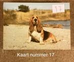 Ansichtkaart hond basset, Verzenden, Ongelopen, Hond of Kat
