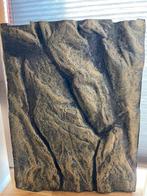Achtergrond Exo Terra 45x60, Ophalen, Nieuw, Terrarium of Paludarium