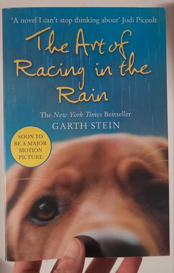 The art of racing in the rain by Garth Stein