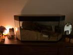 Terrarium + inrichting voor hamsters/muizen/ratten, Dieren en Toebehoren, Ophalen of Verzenden, 75 tot 110 cm, Hok, 90 cm of meer