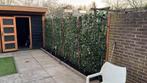 Kant en klaar Groen - Hedera schermen - Hedera rek - Groen, Ophalen of Verzenden, Nieuw, Minder dan 3 meter