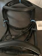 Star hoofdstel bitloos full nieuw, Ophalen of Verzenden, Nieuw, Dressuur