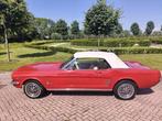 Ford Mustang CONVERTIBLE C CODE (bj 1966, automaat), Automaat, 194 pk, Cabriolet, 4735 cc