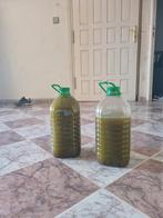 Net binnen Marokkaanse  olijfolie El lahyoun sidi molok., Ophalen of Verzenden