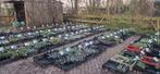 Koningsdag planten verkoop bij de Beltgaard Nijkerkerveen, Tuin en Terras, Zomer, Ophalen