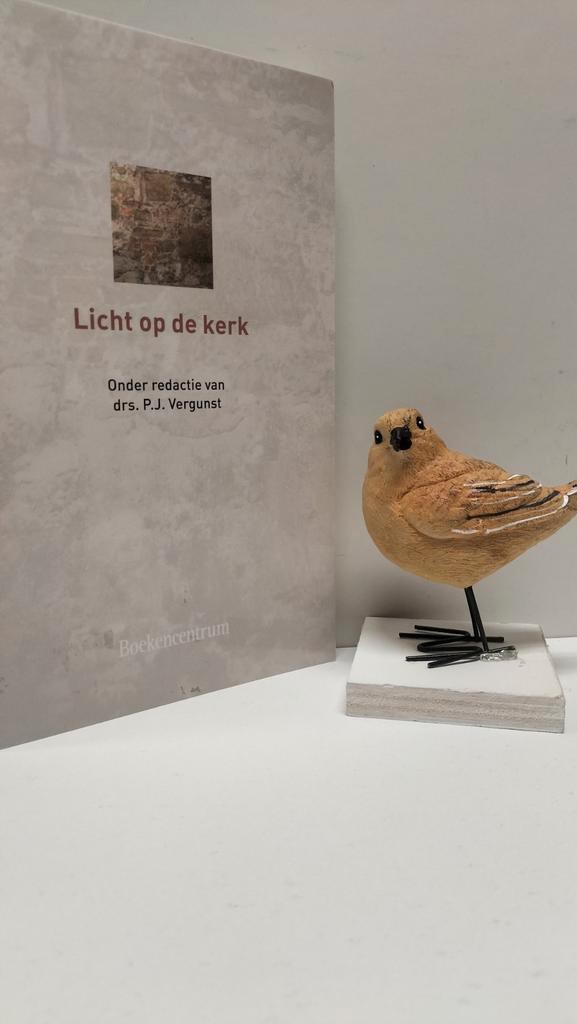 Vergunst, Drs. P.J.; Licht op de kerk, Boeken, Godsdienst en Theologie, Gelezen, Christendom | Protestants, Ophalen of Verzenden