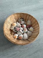 Schelpen in rieten mandje, Gebruikt, Mand, Rond, Ophalen of Verzenden