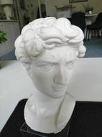 Marmeren beeld van hoofd David, Ophalen of Verzenden